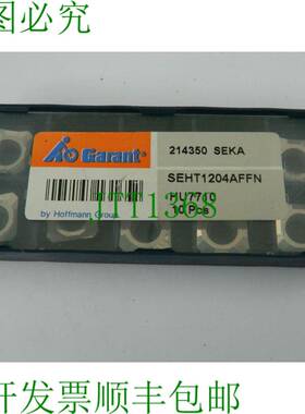原装供应10 x Garant 可转位刀片 214350SEKA SEHT1204AFFN HU771