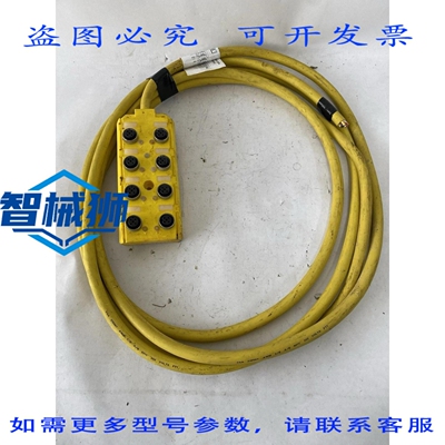 现货供应 HTM ELECTRONICS DSTR8-5/4NA-1205 带 8 个连接器的电