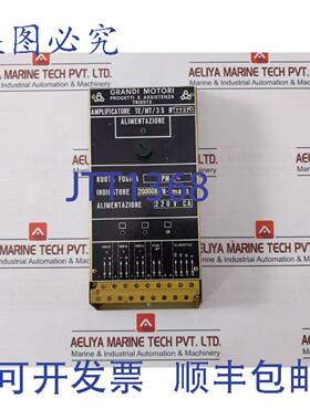 供应Grandi Motori TEMT3 S 放大器 220V CA 20000RPM-1MAF