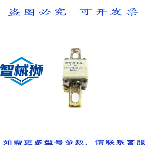 现货供应 CARB FERRAZ A050FC200AI 500VAC 200A NSNP