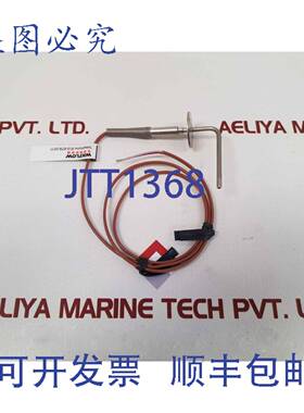 供应Watlow Gordon Af 1080801 热电偶