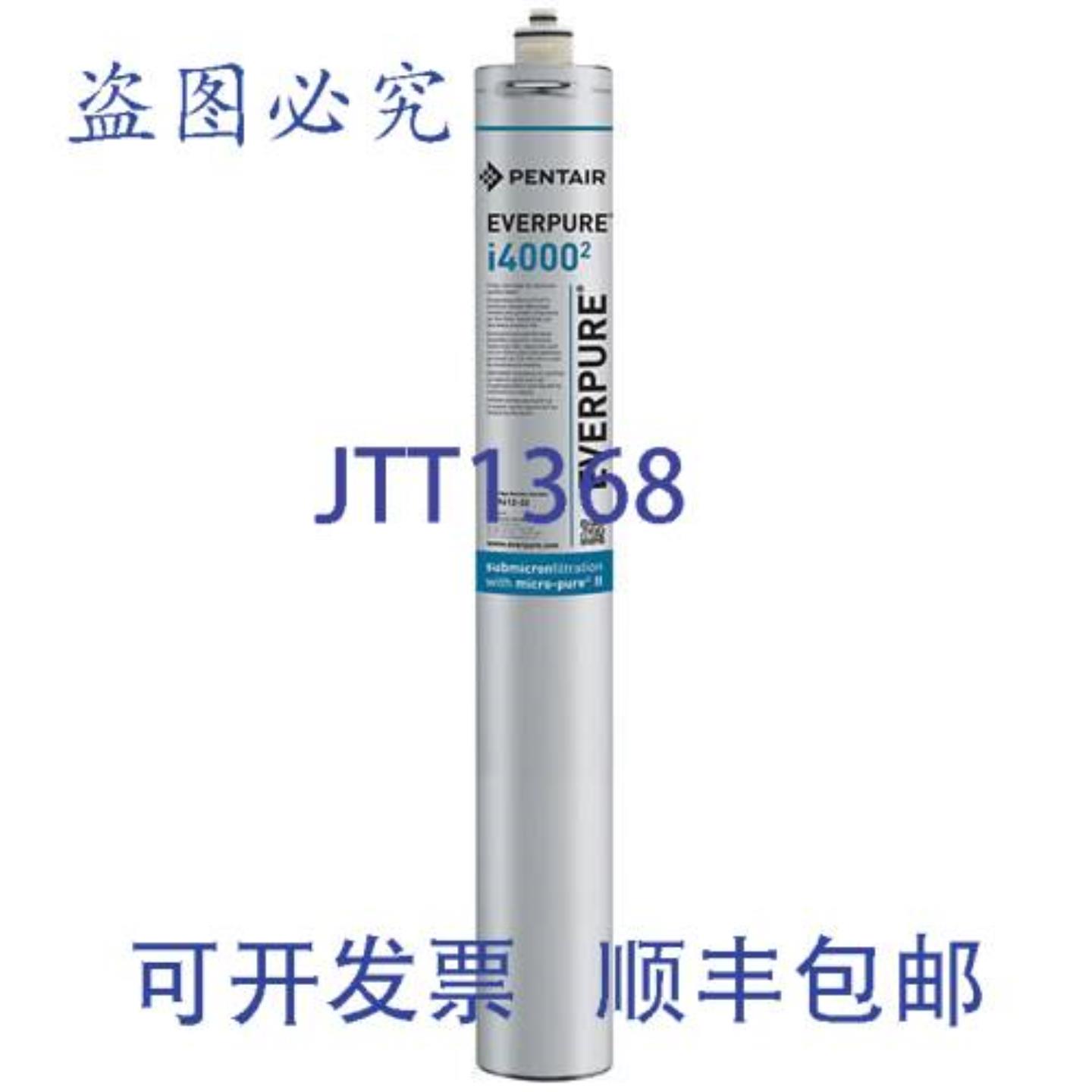 供应滤芯式滤水器 -4000 EV961231  Everpure EV9612-31