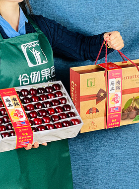 礼盒装2/5斤5J车厘子4J大果大连现摘黑珍珠大樱桃新鲜水果送礼3J