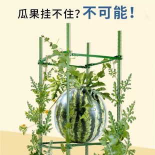 西瓜爬藤架子家用盆栽阳台花盆瓜果支架固定杆果蔬牵引架楼顶种瓜