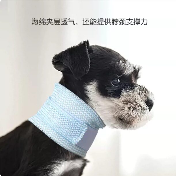 宠物护颈脖套宠物伊丽莎白圈小猫咪项圈支撑脖子保护伤口防舔防咬