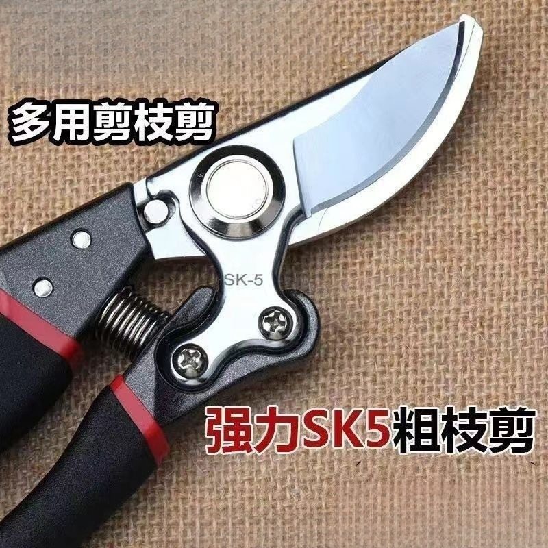 德国原装进口sk5修枝剪果树剪粗枝剪大功率充电剪刀无线锂电剪刀,居家日用,园艺刀剪,淘宝优惠券,粉丝福利购,淘宝优惠卷