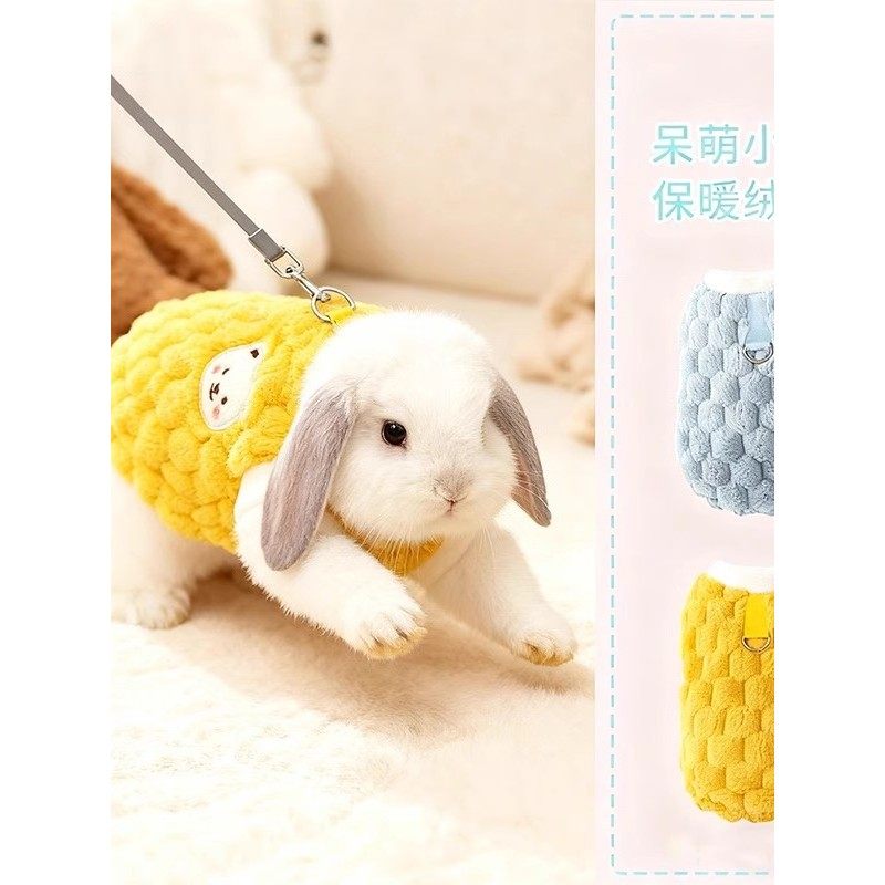 兔子专用小衣服冬季保暖棉衣宠物垂耳兔侏儒兔穿的加绒加厚两脚衣,宠物/宠物食品及用品,猫宠物服装/雨衣（新）,淘宝优惠券,粉丝福利购,淘宝优惠卷