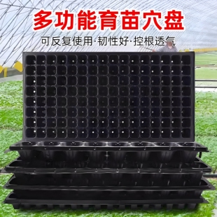 育苗盘穴盘菜苗专用塑料托盘多功能蔬菜秧苗种植杯神器大号营养钵