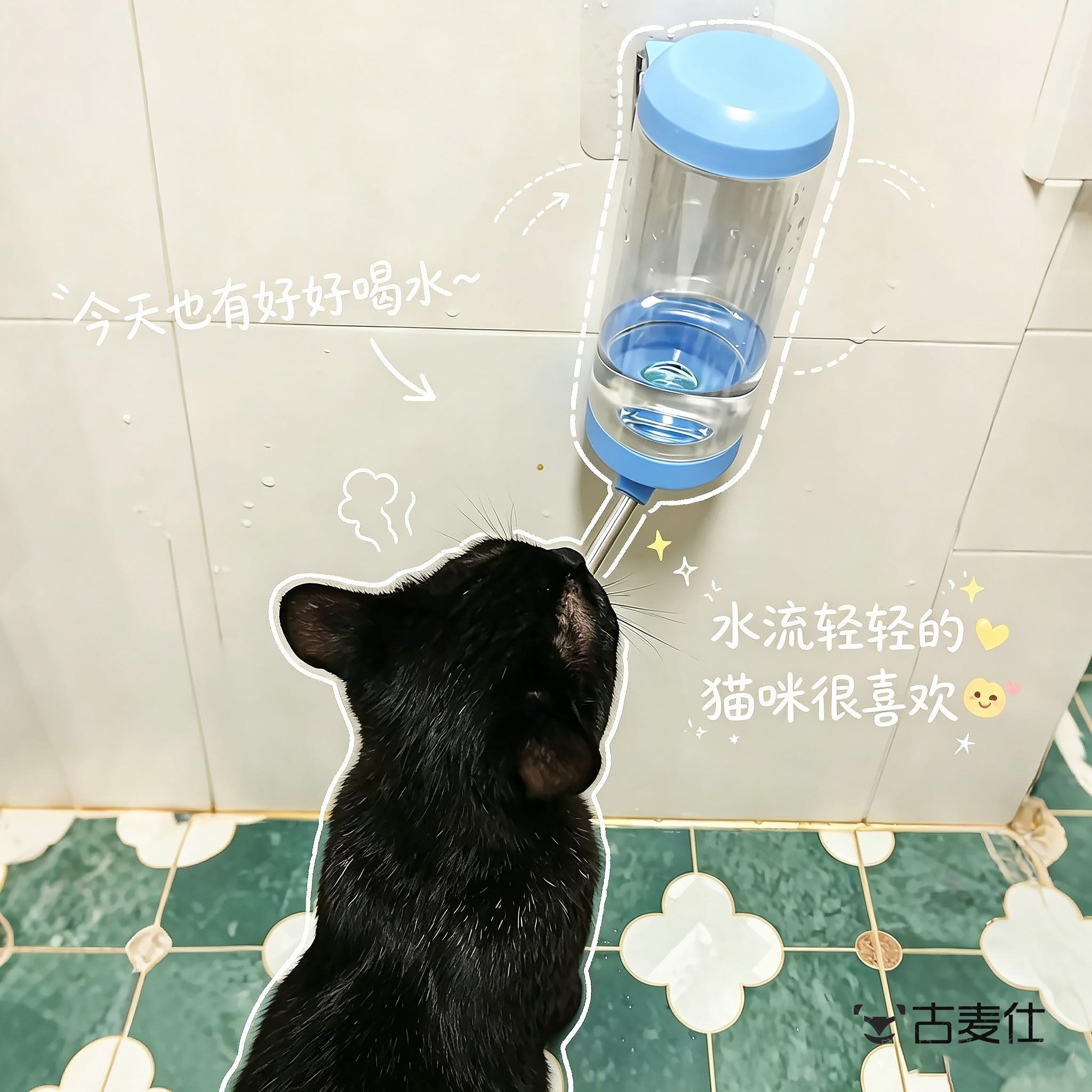 猫咪饮水机悬挂式喂水器大容量猫水碗吸引猫喝水新款滚珠饮水壶