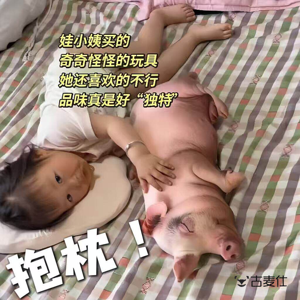 彷真猪抱枕立体柔软逼真小猪玩偶客厅沙发靠枕儿童半睡娃娃小公仔
