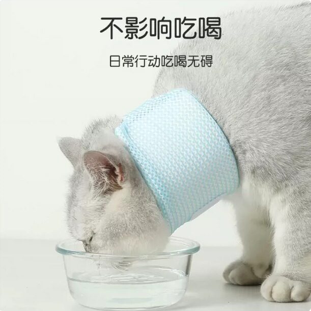 宠物伊丽莎白圈狗狗猫咪脖套颈椎支撑脖子烂皮肤防抓舔咬颈保护套