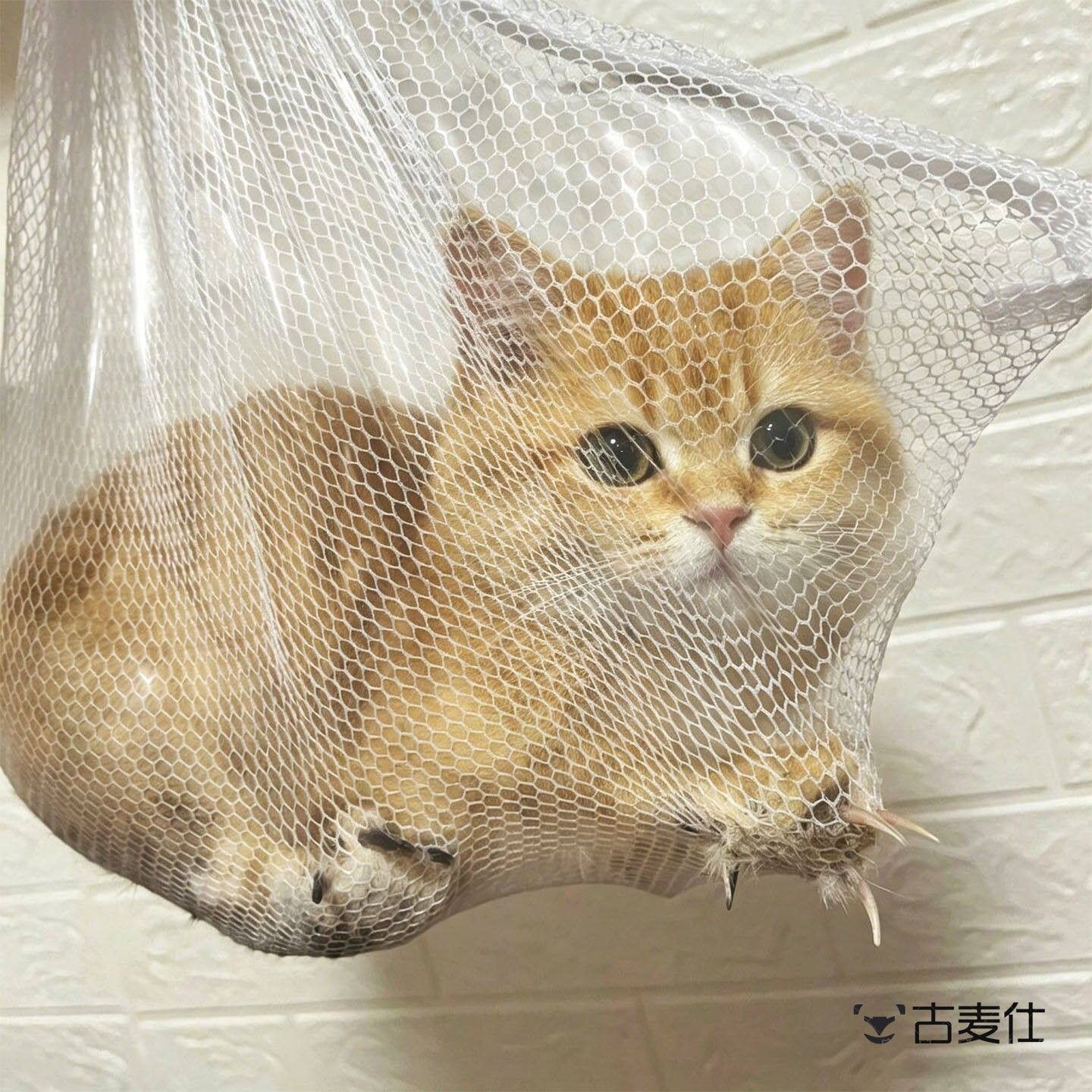 猫咪剪指甲神器网兜防挣脱固定包防咬洗猫袋束网格缚袋宠物用品
