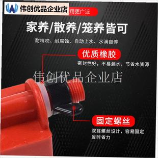 鸡饮水器自动喂水鸡用自动饮水器C小鸡喝水神器鸡鸭家禽养鸡养殖,