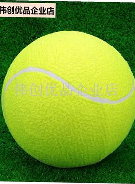 签名大网球24cm充气网球上海大师赛追星利器O9.5英寸蓝色粉色宠,