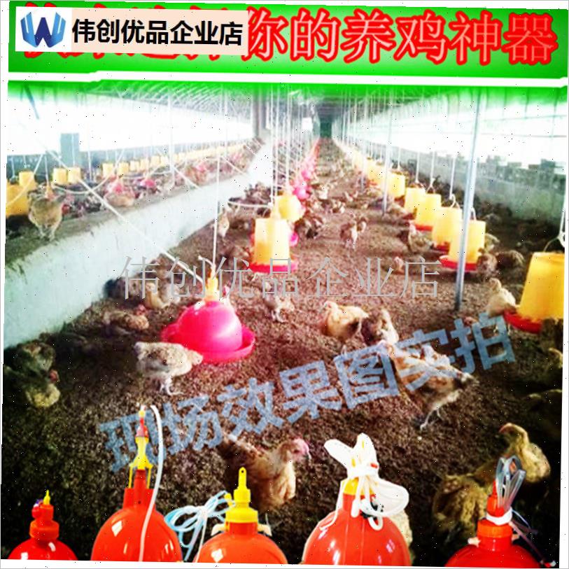 超厚普拉松养鸡用自动饮水器鸡A鸭鹅喂加水壶养鸡设备养殖用品包,