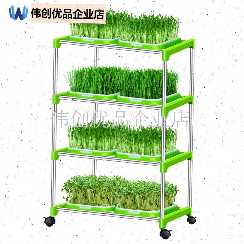 芽苗菜育苗盘f豆芽绿豆芽发芽实验神器盆发豌豆苗种X植专用水培,