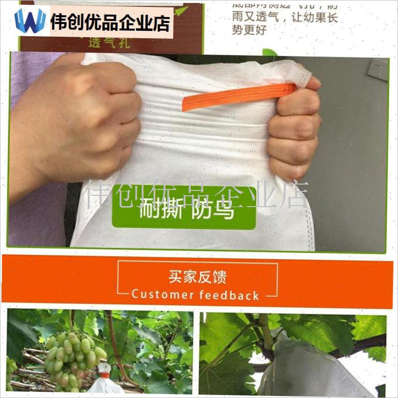 露天无纺布ef葡萄袋防水水果育种保护袋防虫鸟水果X苍蝇袋荷花雾,