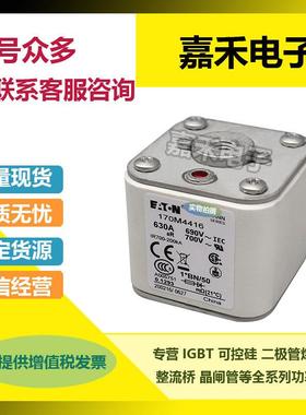 热销170M3622 170M3623 170M4608 170M4609 170M4610 170M4611熔