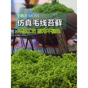 热销仿真绿苔藓疏水透气假草铺盆面装饰盆景人造景观纯白毛线状假