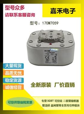 热销170M3738 170M3747 170M7163 170M7499 170M7595巴斯曼熔断器