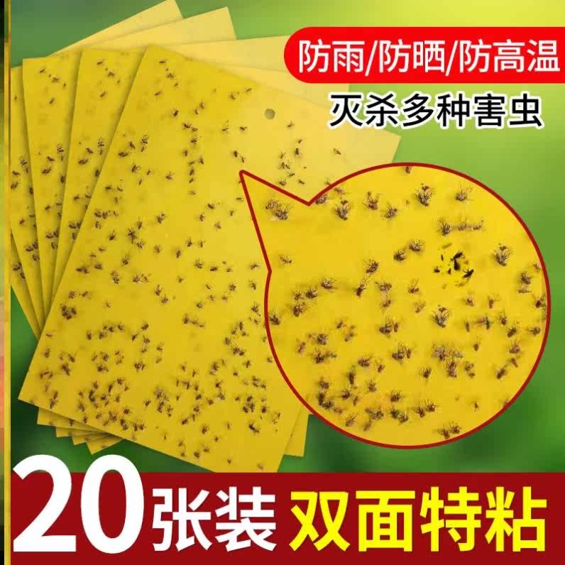 叶蝉灭蝇菜地粘纸黄色双面粘性苍蝇陷阱粘虫板苍蝇纸工具诱引黏型|msdalam kategori penghantaran bunga/bunga simulasi/tumbuhan berkebun, Gardening Supplies, Peralatan Perkebunan lain - dari Buy2taobao.com untuk memberikan perkhidmatan ejen Taobao profesional membeli