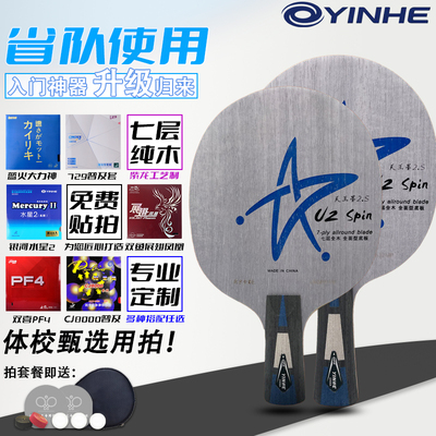 银河入门初学乒乓球拍进攻型底板