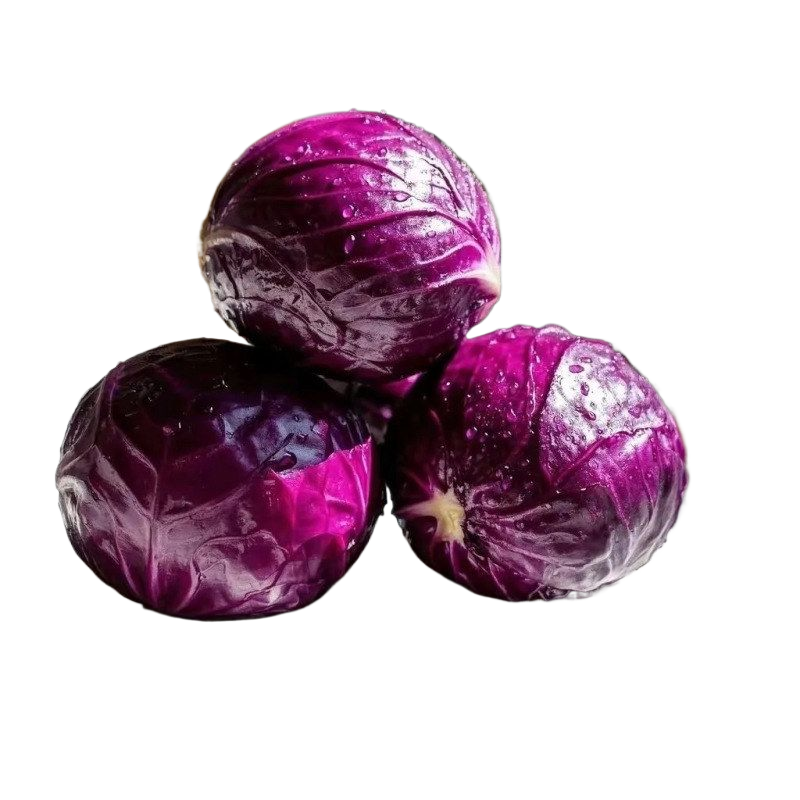 蔬菜新鲜紫甘蓝purplecabbage
