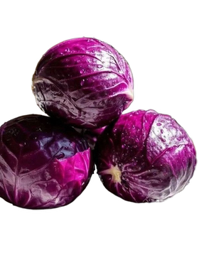 当季蔬菜新鲜紫甘蓝keto food fresh purple cabbage现发现挖蔬菜
