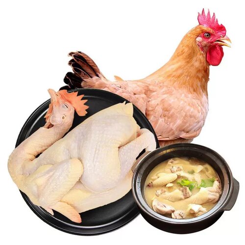 老母鸡chicken食材整鸡饭店