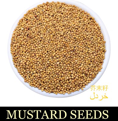 MUSTARD SEEDS & powder ground spicy mustard 500g