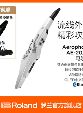 Roland罗兰 电吹管AE-20WAerophone电萨克斯电子吹管乐器带扬声器