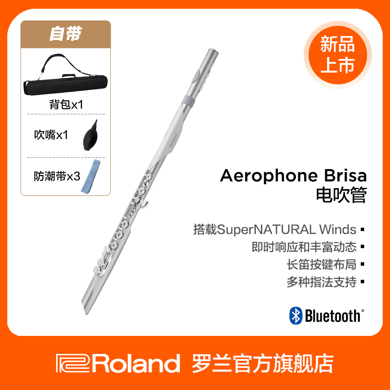 Roland罗兰 AE-BRISA进阶电吹管长笛萨克斯民乐多指法乐器