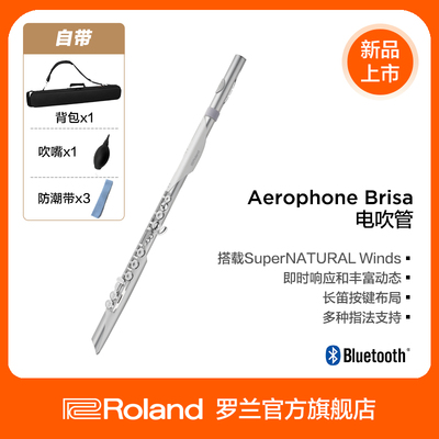 Roland罗兰 AE-BRISA进阶电吹管长笛萨克斯民乐多指法乐器
