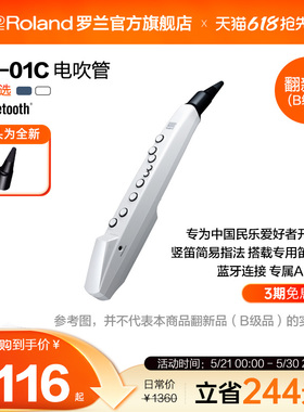 翻新品(B级品)Roland罗兰 AE-01C电萨克斯电子吹管乐器带音源