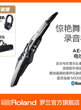 Roland罗兰 AE-30 Aerophone Pro电萨克斯电子吹管乐器带扬声器