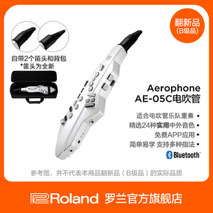 05C电吹管老年人管乐民乐电子萨克斯 Roland罗兰AE 翻新品 B级品