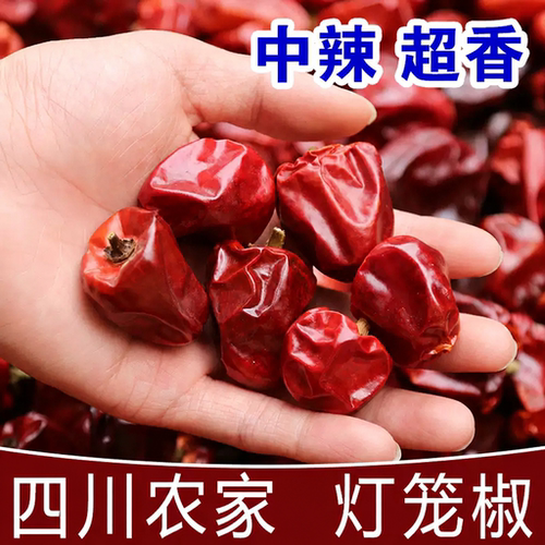 灯笼椒四川子弹头辣椒一斤包邮