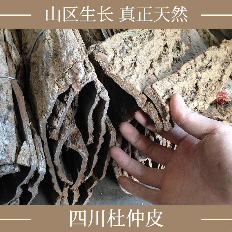 杜仲250g 老树杜仲皮 杜仲茶杜仲片 泡茶泡酒 四川特产