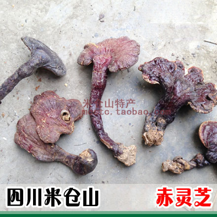 灵芝100g四川米仓山散装灵芝灵芝林芝整枝赤灵芝非西藏灵芝红
