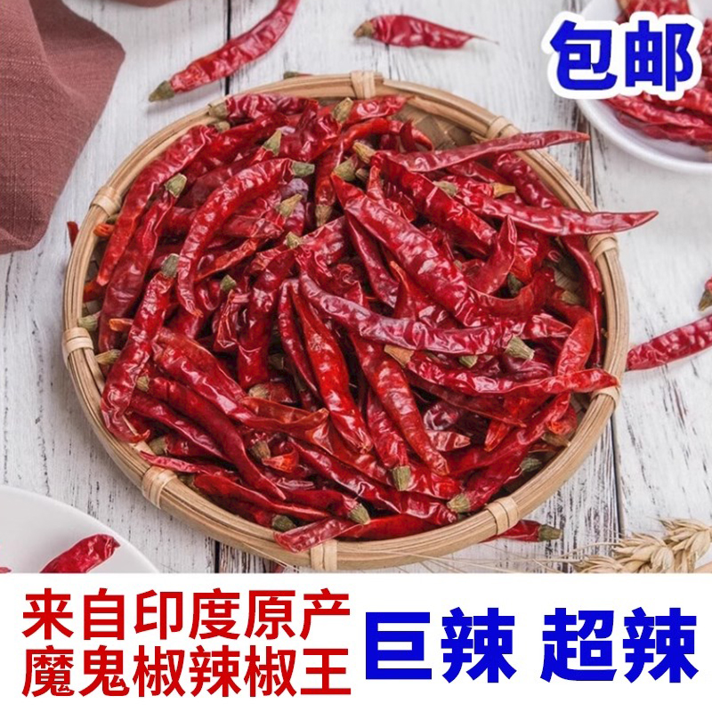 印度小魔鬼辣椒王250G