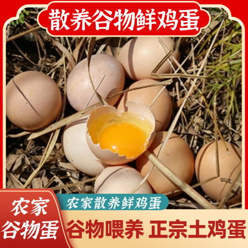 农家土鸡蛋谷物鲜鸡蛋约50g/枚泡沫装散养跑山鸡五谷杂粮饲养鸡蛋