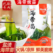 盐渍海带苗500g嫩苗新鲜嫩海带芽非干货家用火锅食材凉拌菜煮汤料