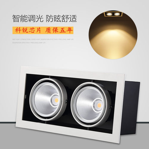 led斗胆灯双头豆胆灯COB射灯店铺商用嵌入式格栅方形高显指CREE