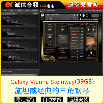 5件套Galaxy Vienna Steinway施坦威经典维也纳三角钢琴编曲音源