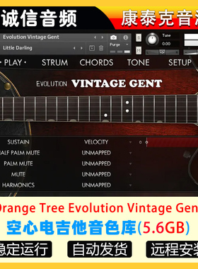 空心电吉他音色库-Orange Tree Samples Evolution Vintage Gent
