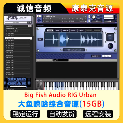 大鱼嘻哈综合音源Big Fish Audio RIG Urban Workstation