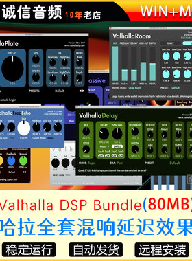 2025 Valhala DSP瓦哈拉全套精致混响延迟效果器VST插件Win+Mac