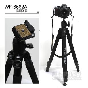 伟峰6662A金属云台钓鱼灯摄像机手机三脚架 6663A单反相机三角架