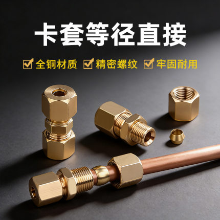 黄铜双头卡套直通接头等变径高压铜管卡套式直接加湿器船用管接头