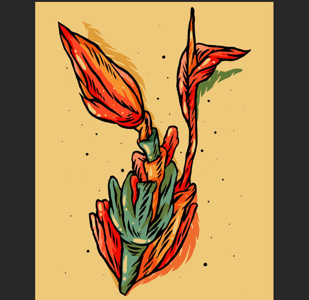 成套图 高清分辨率设计素材jpg  花朵 植物手绘画稿c1-50